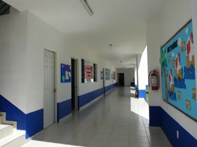 Primaria